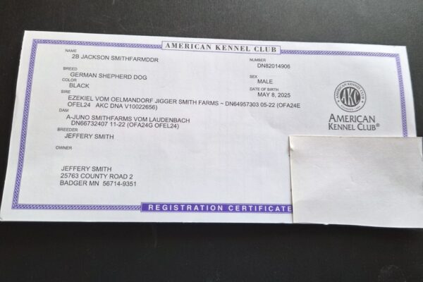 2B JACKSON SMITHFARMDDR