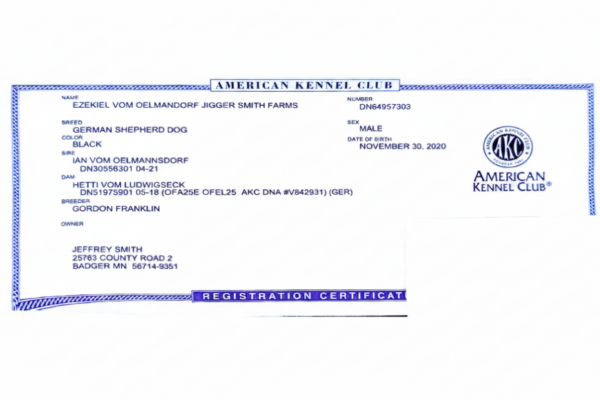 Gemini_Generated_Image_7w5pmx7w5pmx7w5p